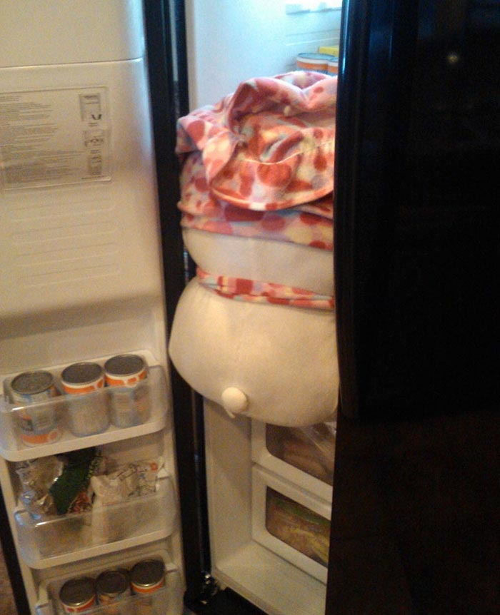 история мягкой игрушки, фотографии игрушек, девочка оставила игрушку