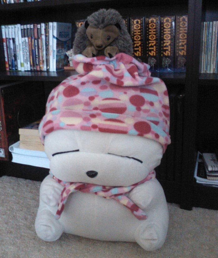 история мягкой игрушки, фотографии игрушек, девочка оставила игрушку