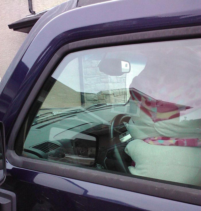 история мягкой игрушки, фотографии игрушек, девочка оставила игрушку