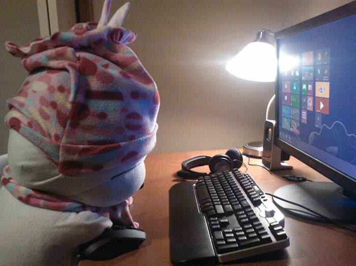 история мягкой игрушки, фотографии игрушек, девочка оставила игрушку