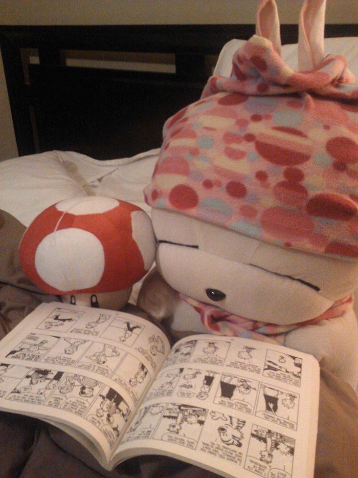 история мягкой игрушки, фотографии игрушек, девочка оставила игрушку