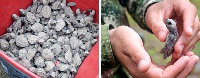 добрые истории, добрые люди