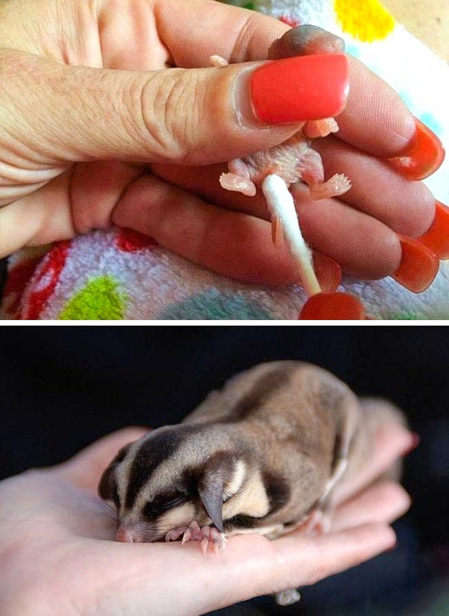 добрые истории, добрые люди