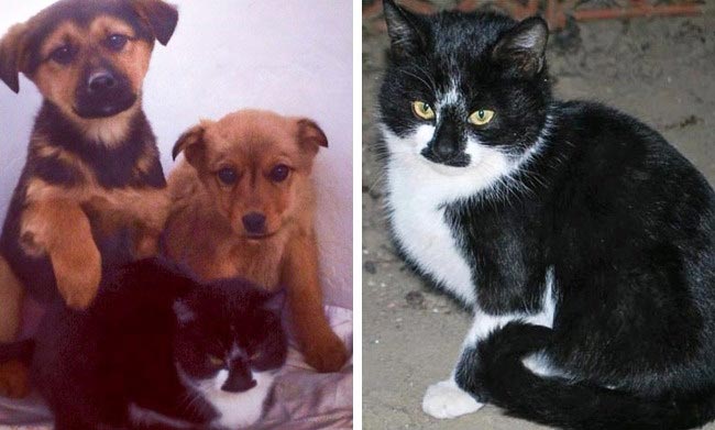 добрые истории, добрые люди