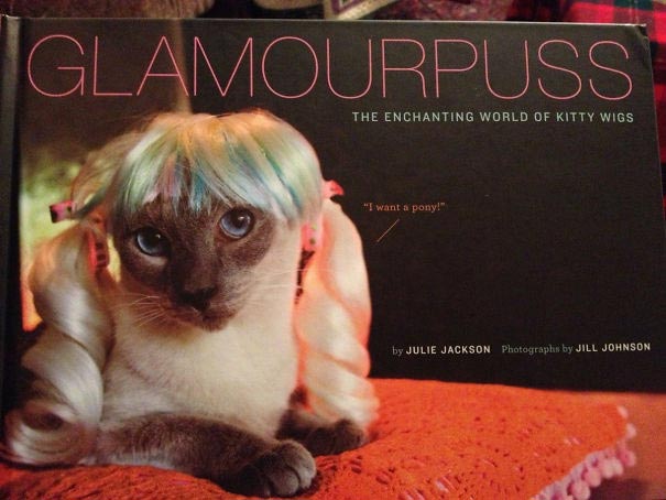 рождественские подарки для троллей, смешная упаковка подарка, упаковка подарков тролли, приколы с упаковкой подарков