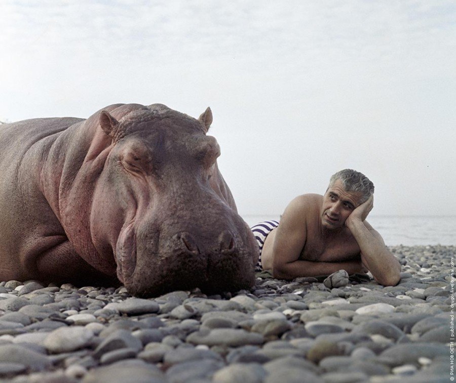 Исторические кадры, редкие архивные фотографии, исторические события, редкие фото звёзд