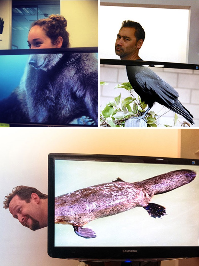 люди скучают на работе, творческим людям скучно на работе