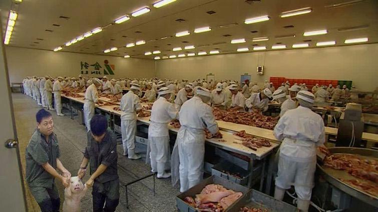 счастливая свинья, счастливая свинка, счастливая свинья битва фотошоперов, счастливая свинья фотожабы.