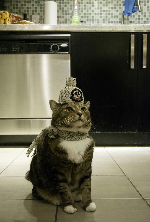 25 смешных и остроумных мам, доказавших, что они тоже умеют шутить розыгрыши мам, мама пошутила, мамы умеют шутить, мама пошутила