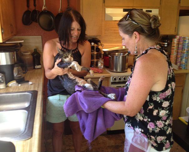 25 смешных и остроумных мам, доказавших, что они тоже умеют шутить розыгрыши мам, мама пошутила, мамы умеют шутить, мама пошутила