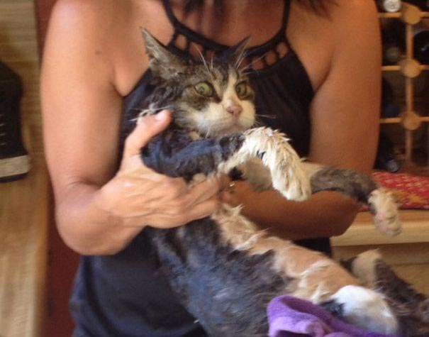 25 смешных и остроумных мам, доказавших, что они тоже умеют шутить розыгрыши мам, мама пошутила, мамы умеют шутить, мама пошутила