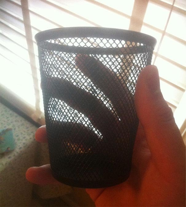 25 смешных и остроумных мам, доказавших, что они тоже умеют шутить розыгрыши мам, мама пошутила, мамы умеют шутить, мама пошутила