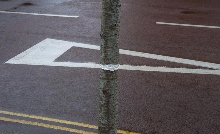 забавные совпадения, проект совпадение, совпадение фото, точное совпадение