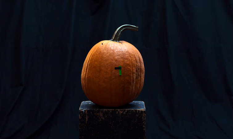 Мультфильм в тыкве или удивительная анимация, буквально вырезанная на тыквах вырезанная тыква, вырезанная тыква видео, мультфильм тыква, анимация вырезанная на тыкве