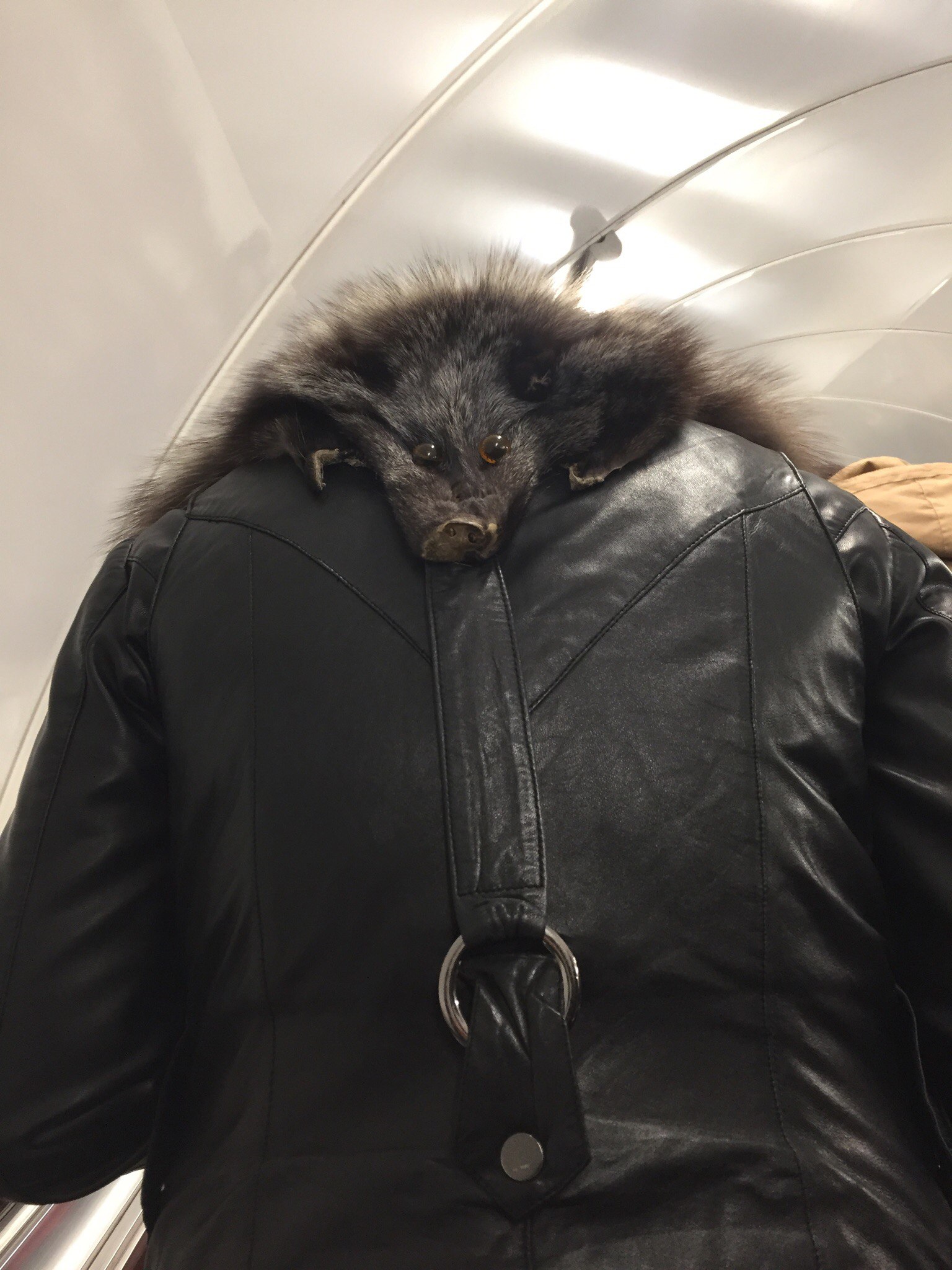 мода петербургского метро, мода метро, модники в транспорте, странные пассажиры метро 