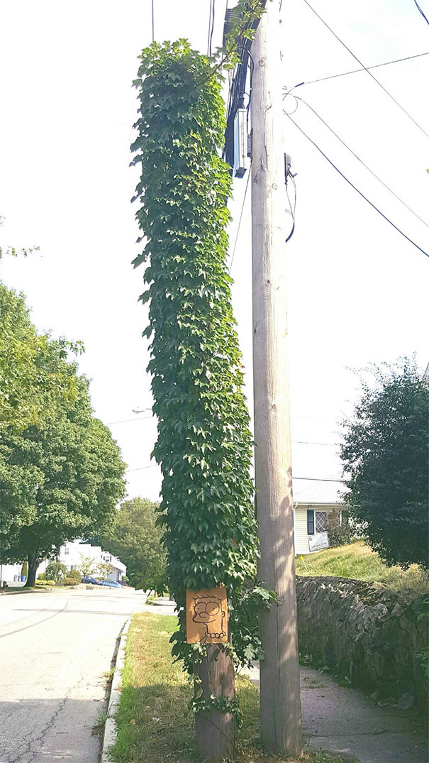 творческий вандализм, современное искусство