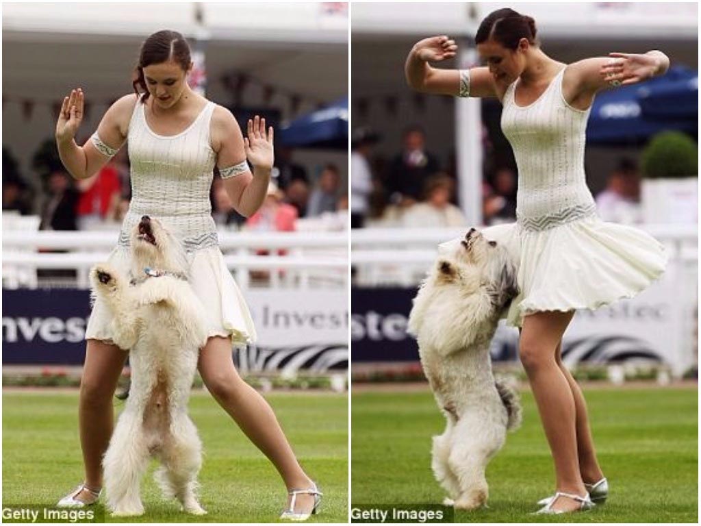 странные виды спорта, необычные виды спорта