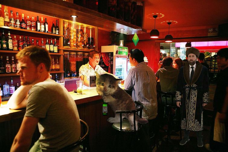 котёнок под машиной битва фотошоперов, котёнок под машиной