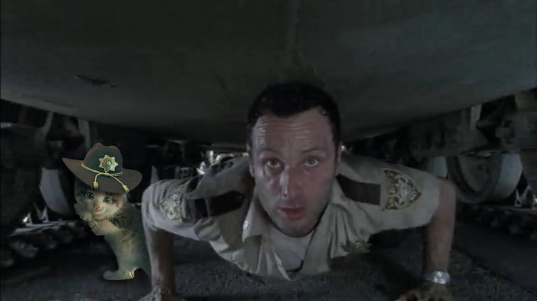 котёнок под машиной битва фотошоперов, котёнок под машиной