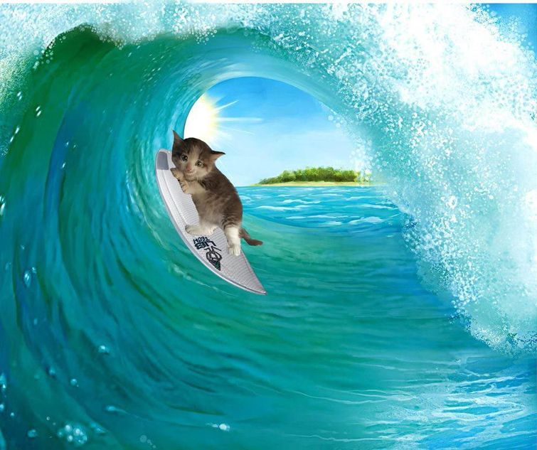 котёнок под машиной битва фотошоперов, котёнок под машиной