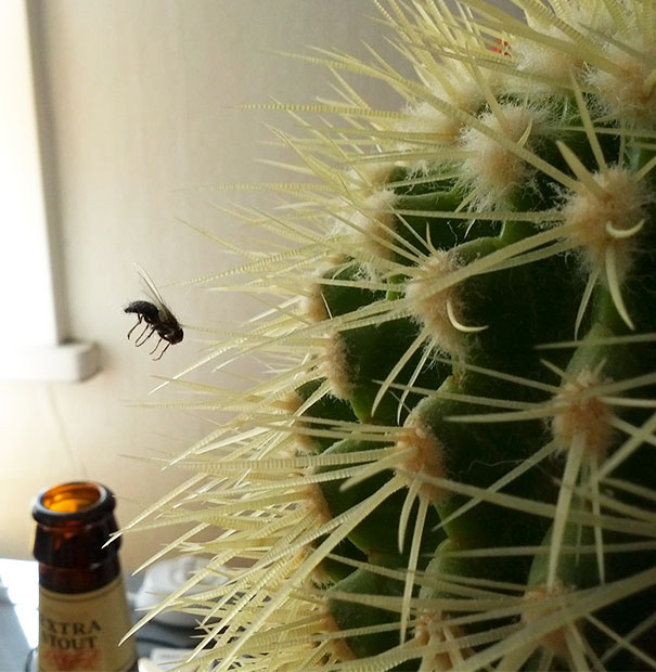 совпадения которые произошли на самом деле, совпадения один на миллион