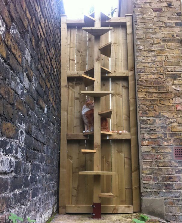 подарок своими руками, подарок своими руками на день, подарки своими руками фото, оригинальные подарки своими руками