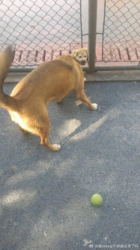 фотографии с сюрпризами, фотографии взглянуть дважды, забавные фотографии, неожиданные фотографии