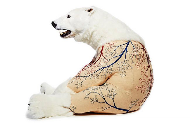 скульптуры животных содранные шкуры, Дебора Саймон, Deborah Simon, Flayed Animals