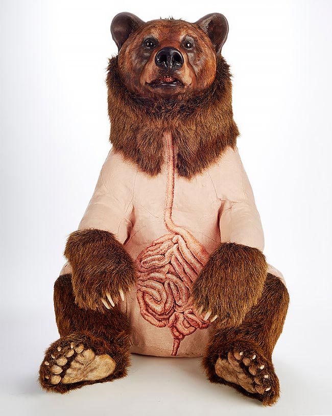 скульптуры животных содранные шкуры, Дебора Саймон, Deborah Simon, Flayed Animals