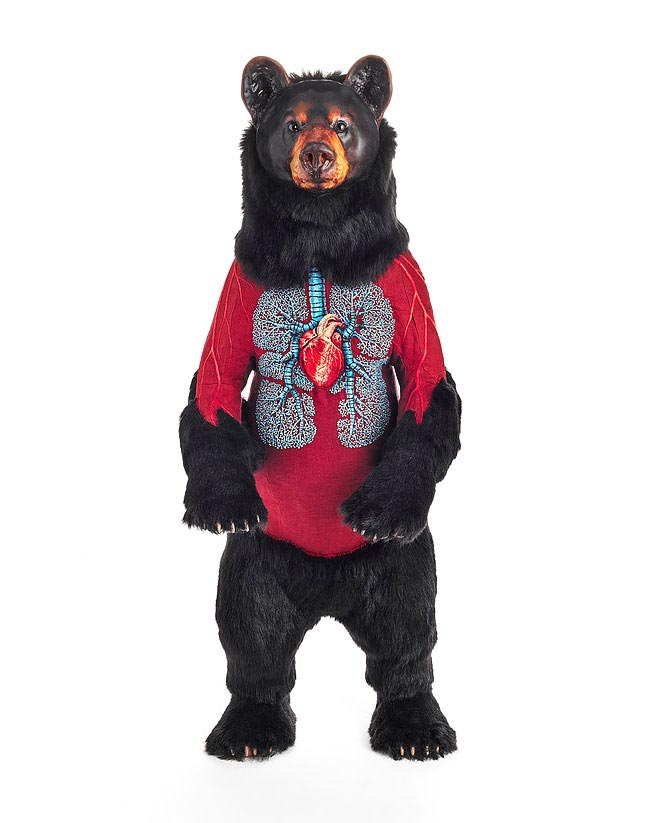 скульптуры животных содранные шкуры, Дебора Саймон, Deborah Simon, Flayed Animals