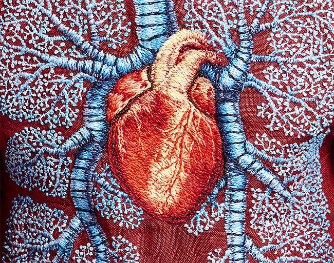 скульптуры животных содранные шкуры, Дебора Саймон, Deborah Simon, Flayed Animals