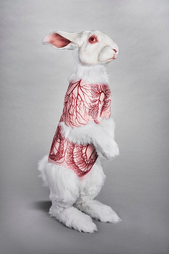 скульптуры животных содранные шкуры, Дебора Саймон, Deborah Simon, Flayed Animals