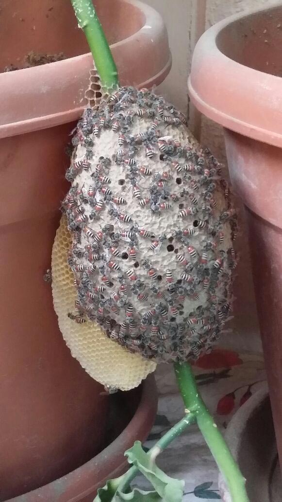 странные и пугающие находки, люди нашли странные находки 