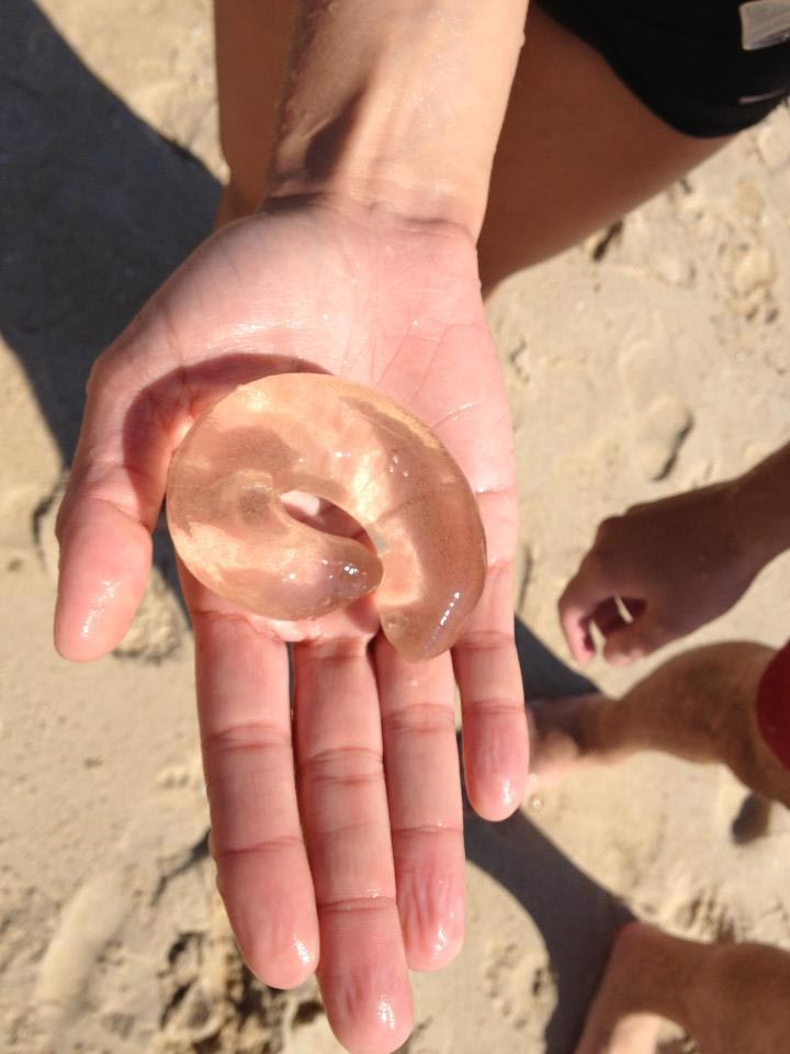 странные и пугающие находки, люди нашли странные находки 