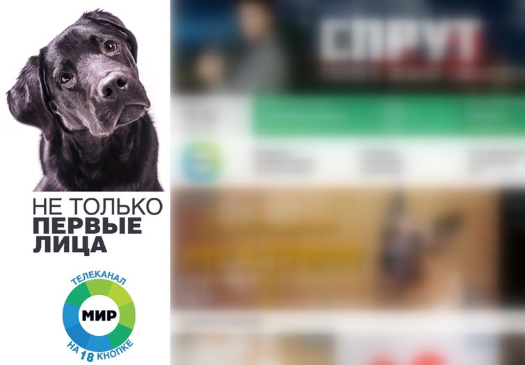 прямой эфир новостей собака вылезла из под стола, собака в студии телеканала, собака вылезла во время новостей