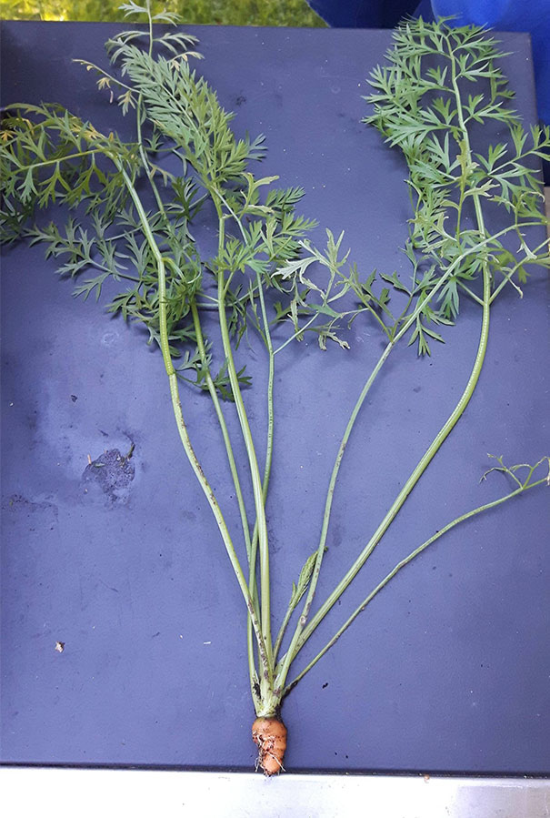 людям не повезло с едой, проиграли в лотерею еды