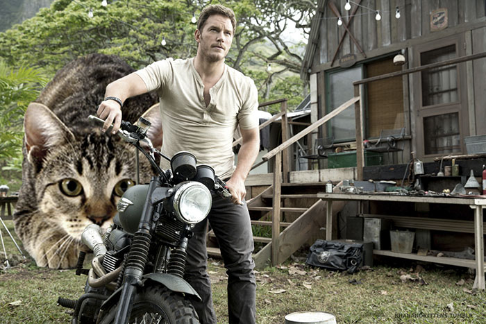 коты юрского периода, динозавров заменили котиками