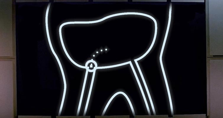 дантист звёздные войны, звёздные войны пародия, зубные войны, PIPS