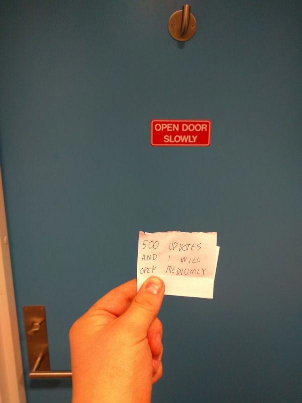 я у мамы анархист, смешные истории, смешные картинки анархия, люди нарушающие правила