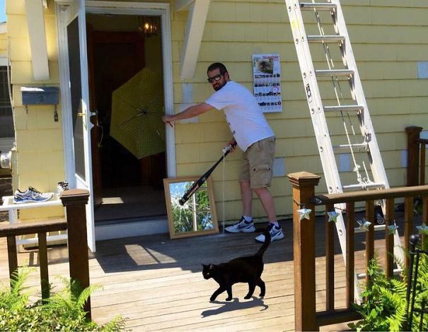 я у мамы анархист, смешные истории, смешные картинки анархия, люди нарушающие правила