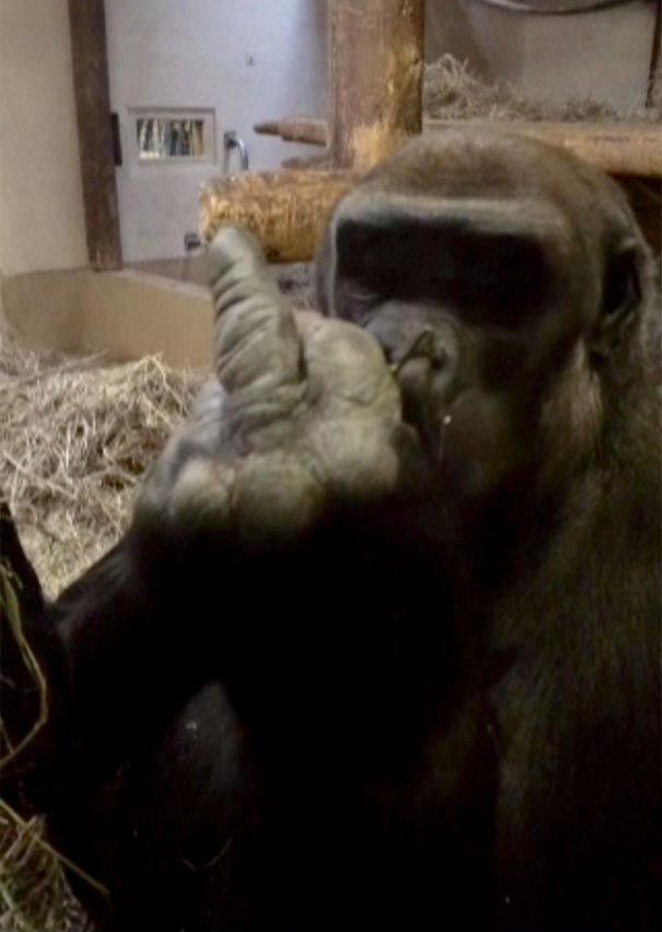 невероятные случаи, невероятные истории, реальные истории произошли, невероятные истории произошли на самом деле