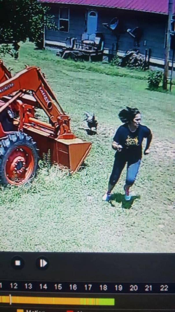 невероятные случаи, невероятные истории, реальные истории произошли, невероятные истории произошли на самом деле