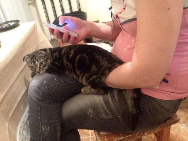 смешные галлюциногенные фотографии, смешные фото оптические иллюзии