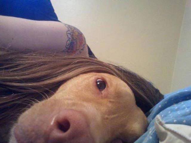 смешные галлюциногенные фотографии, смешные фото оптические иллюзии