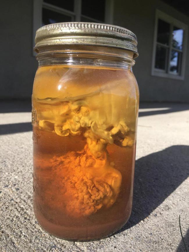 Люди не могли разгадать, что это за вещи, но знатоки из интернета пришли на помощь странные и пугающие находки, люди нашли странные находки