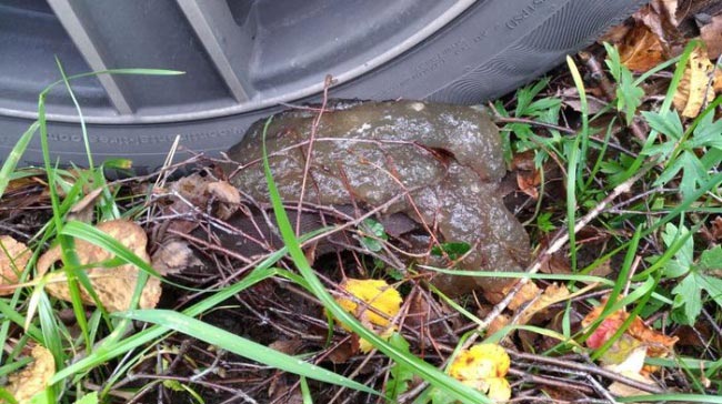 Люди не могли разгадать, что это за вещи, но знатоки из интернета пришли на помощь странные и пугающие находки, люди нашли странные находки