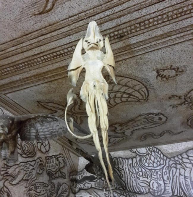 Люди не могли разгадать, что это за вещи, но знатоки из интернета пришли на помощь странные и пугающие находки, люди нашли странные находки