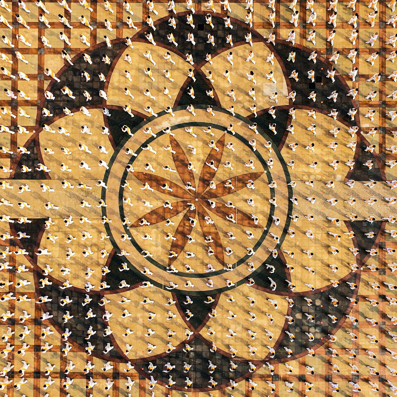 Победители Sony World Photography Awards 2017,  Sony World Photography Awards 2017