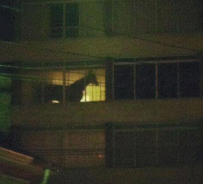 25 смешных фотографий, которые вызывают больше вопросов, чем дают ответов безумные фотографии, странные фотографии, подборка смешных фотографий