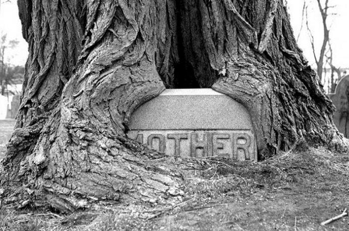 примеры изношенных вещей, что происходит с вещами под воздействием времени 